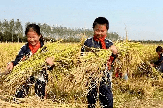 休闲农业体验十要素你都知道吗？开云 开云体育平台(图7)
