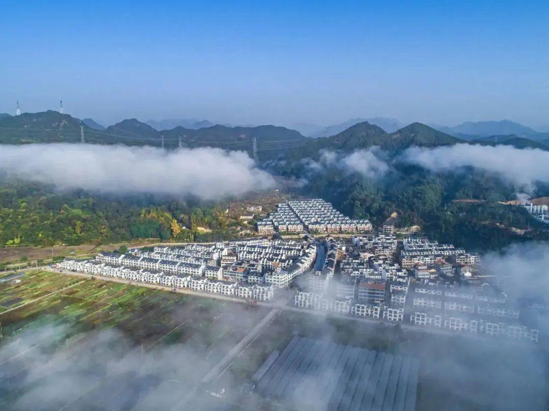 浦江这个乡镇入选省级样板!_虞宅乡_建设_城镇