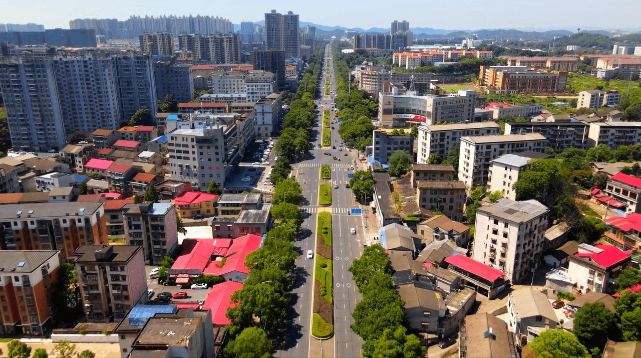 为缓解城市交通拥堵,改善道路交通环境,支队更新优化了龙洲北路,桃花