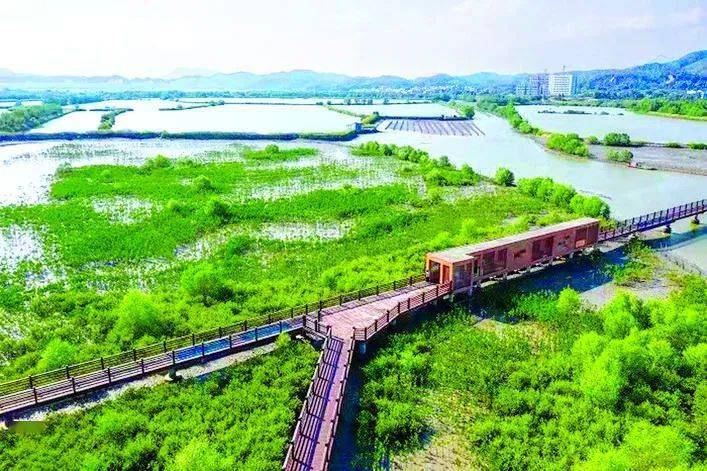 【乡村振兴】惠东:千亩荒地变良田 湿地滩涂鹭鸟飞_保护_耕地_工作