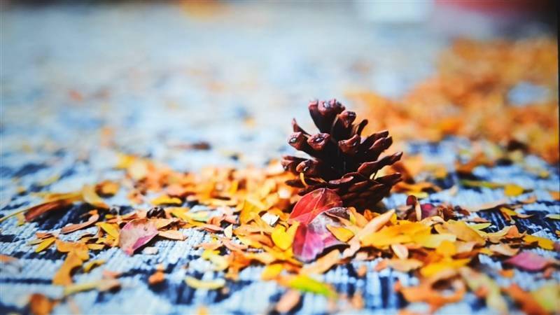 千元高颜值！联想小新100智能投影仪晨曦蓝评测：家庭影院入门就选它了