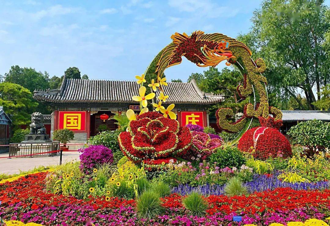 北京植物园2022春节图片