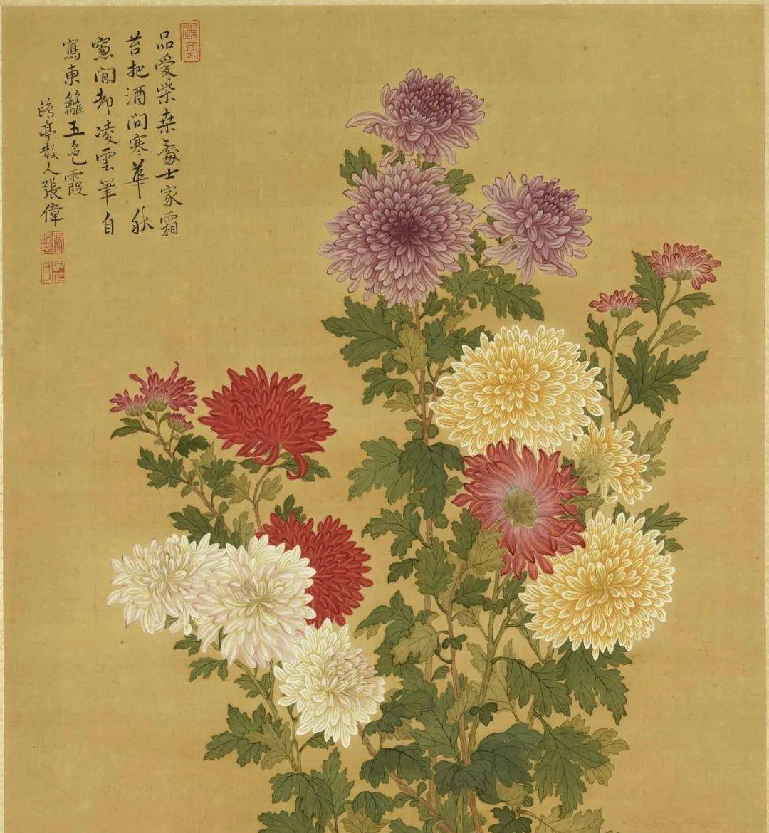 恽寿平菊花画法图片