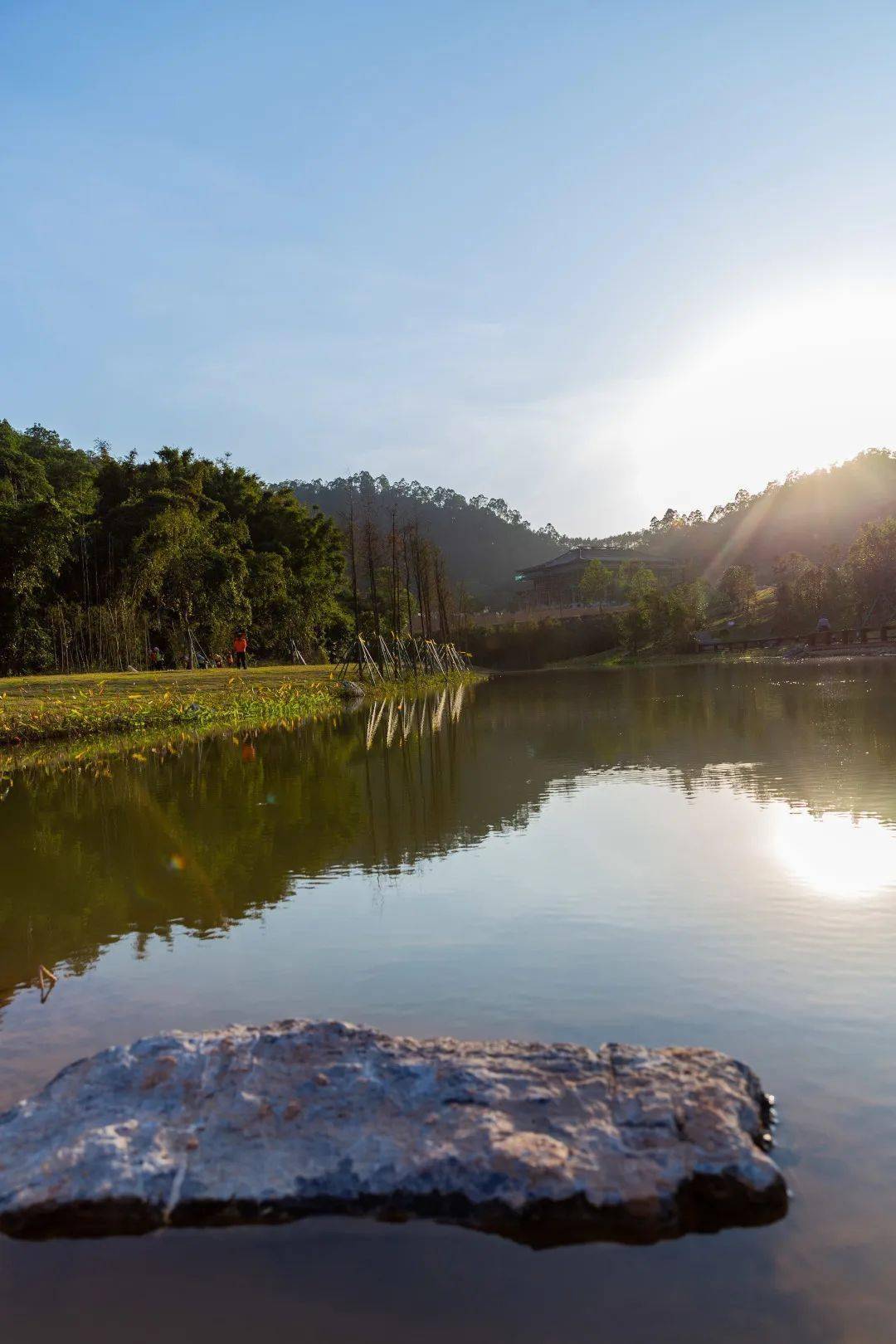 金钟湖公园群,上新了!_莲花_游客_广场