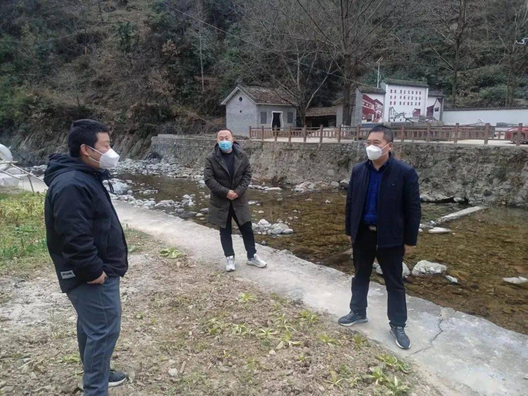 康县白杨镇开展松材线虫病防控_工作_防治_宣传单