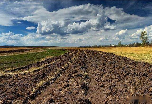 俄罗斯的耕地质量也颇为理想,其境内拥有大面积的黑土地,以莫斯科为