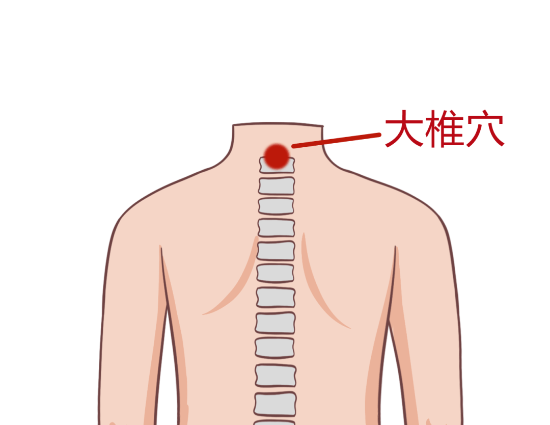 擦大椎穴:是人体诸阳汇聚的地方,为阳中之阳,可以振奋人体的阳气,提高