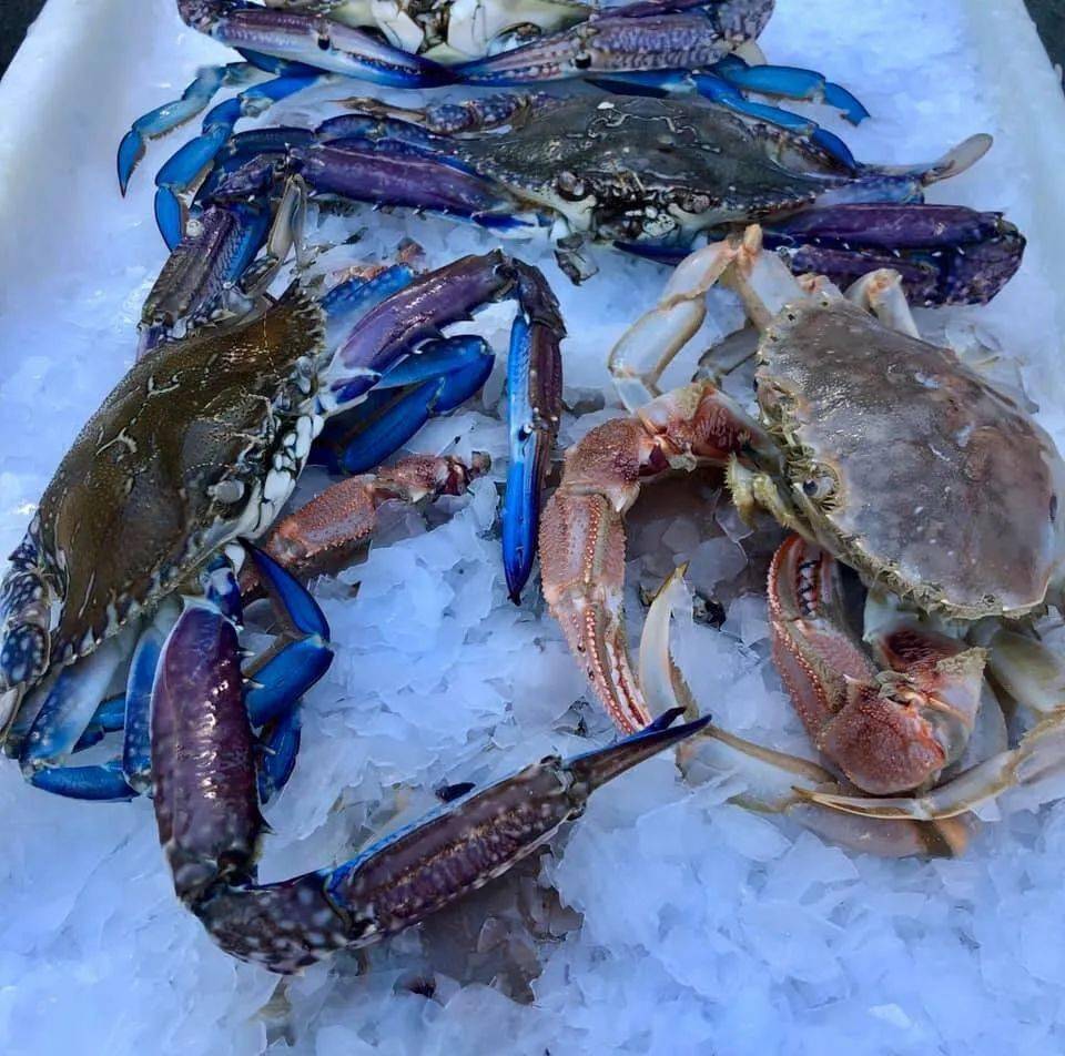 捕捞_螃蟹_地点
