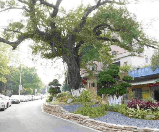 寮步凫山村:人居环境大变样,乡村振兴底色亮_公祠_建设_公园