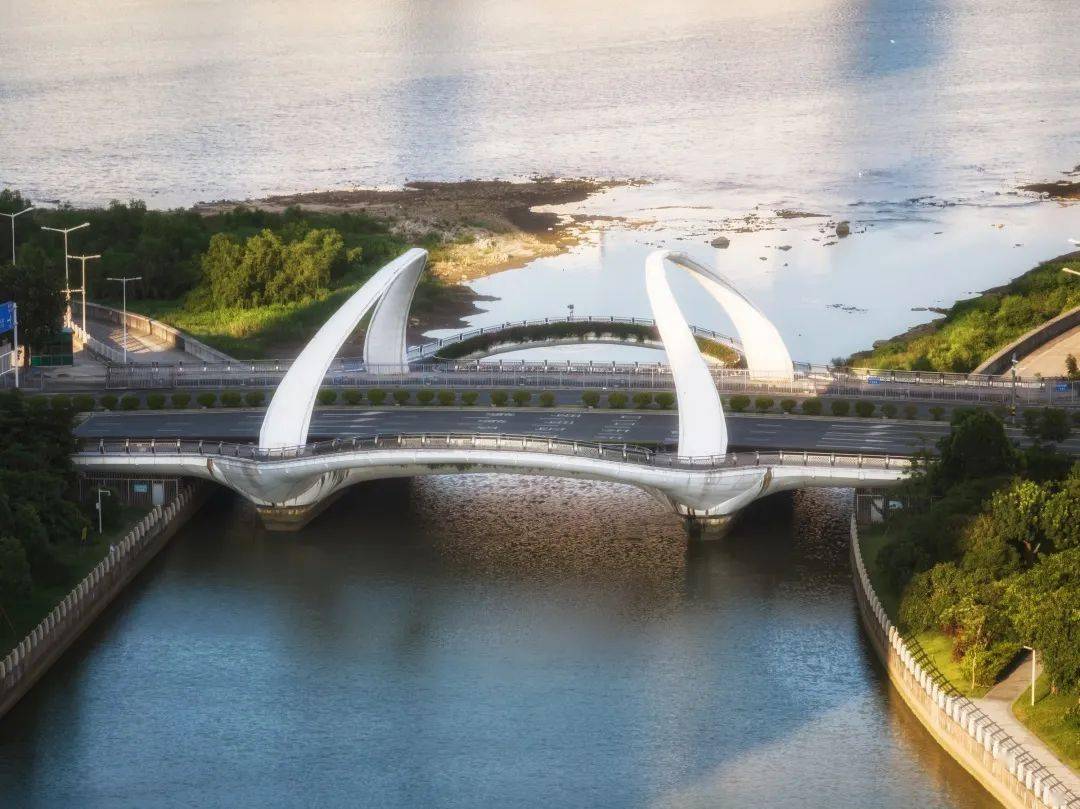 本次通车的海琴桥,位于横琴金融岛人工河的入口处,桥体钢结构主拱高58