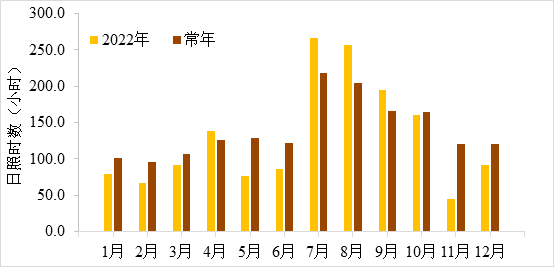 硬核推荐（非遗十大年度事件”发布）非遗传承人名单 第16张