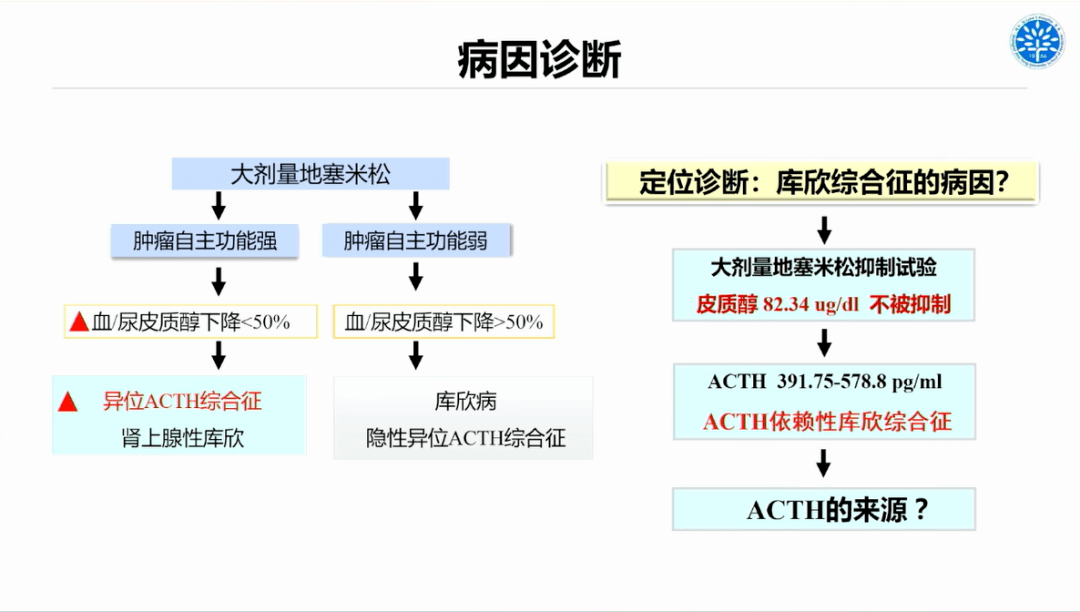 病例单子造假软件图片