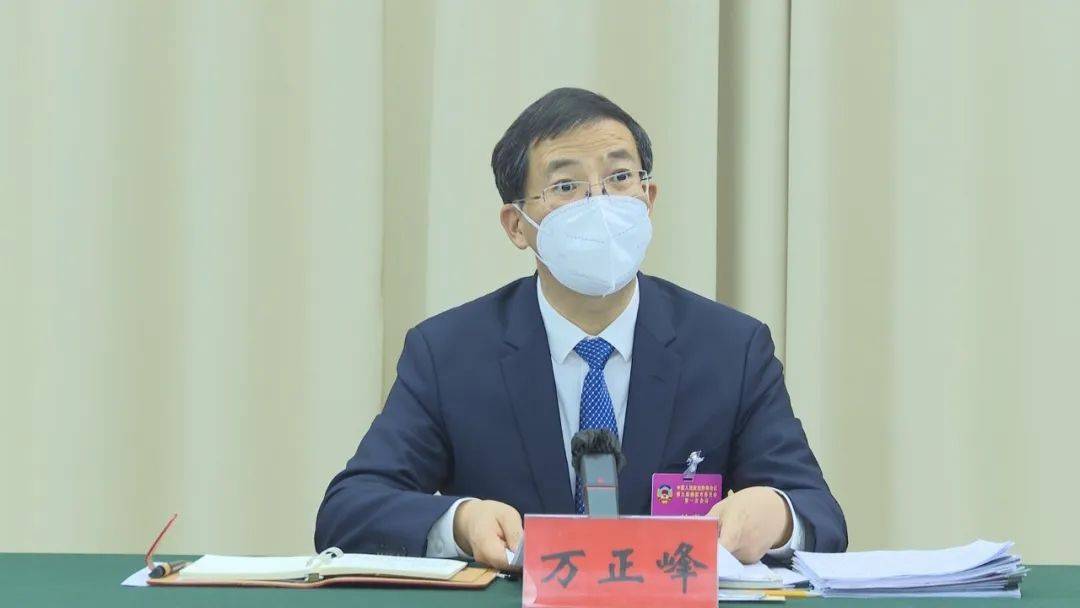 万正峰参加市政协九届一次会议分组讨论_发展_工作_濮阳