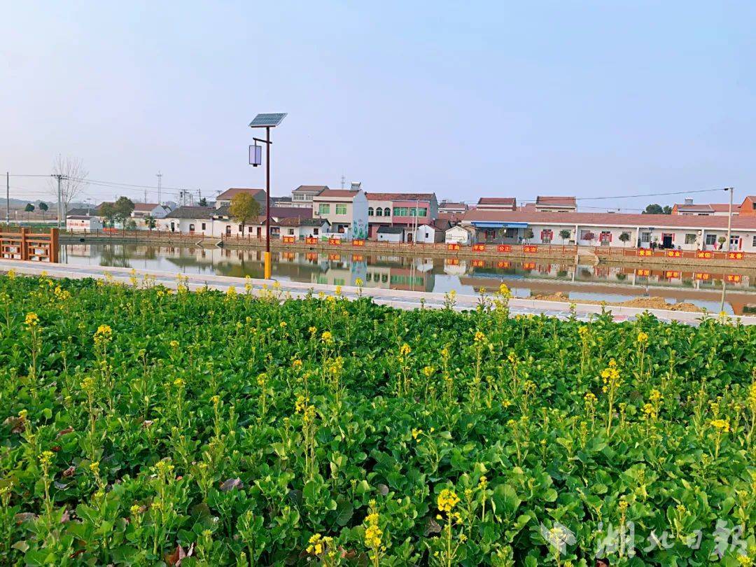 孝昌花西:小小路灯 照亮幸福生活路_孝昌县_利民村_花西乡