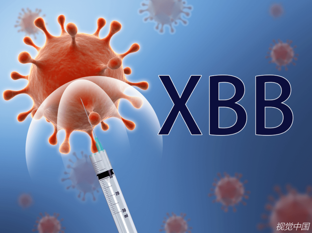 “XBB毒株”感染了会怎样？如何应对？专家解读！_发展_铁南街道_城市