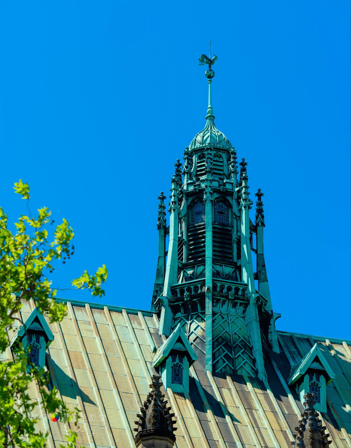 悉尼大學的教學樓,圖書館,博物館等,組成哥德古堡式建築群,置身其中