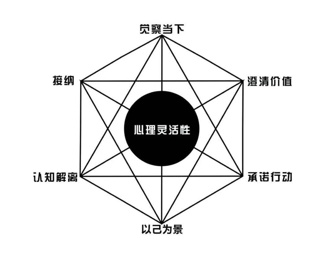 act创始人亲解:什么是接纳承诺疗法(act)的六边形模型?