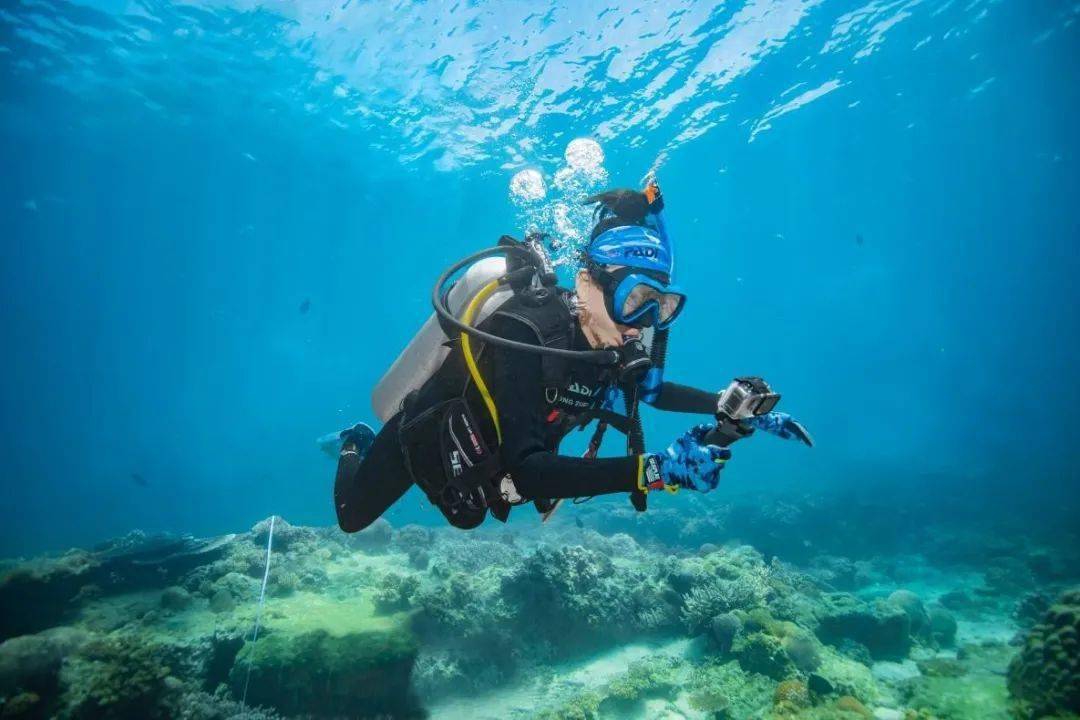 旅游过年,带火这个千亿赛道_海南_运动_潜水