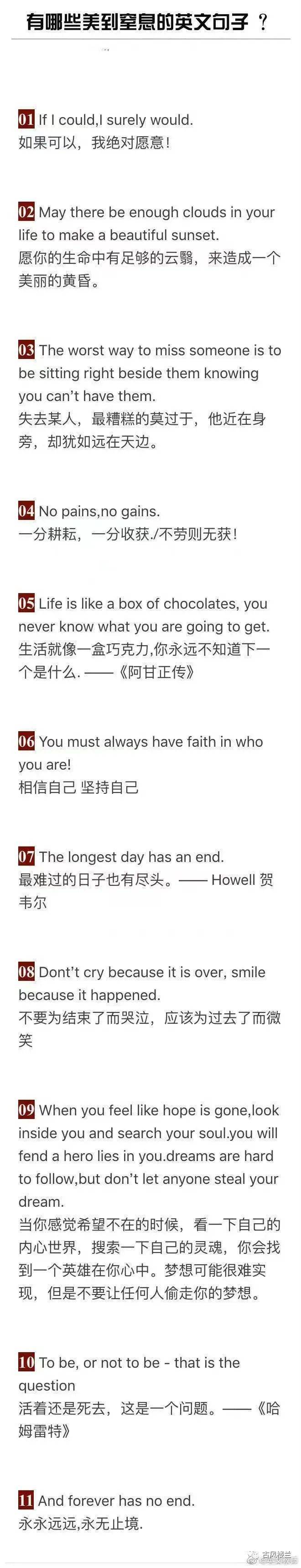 有哪些美到窒息的英文句子，翻译的中文很美看一看很有力量_搜狐网