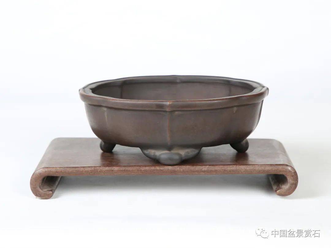 水明盆艺十八式新品惊艳出炉,不容错过!_cm_朱赛明_盆景