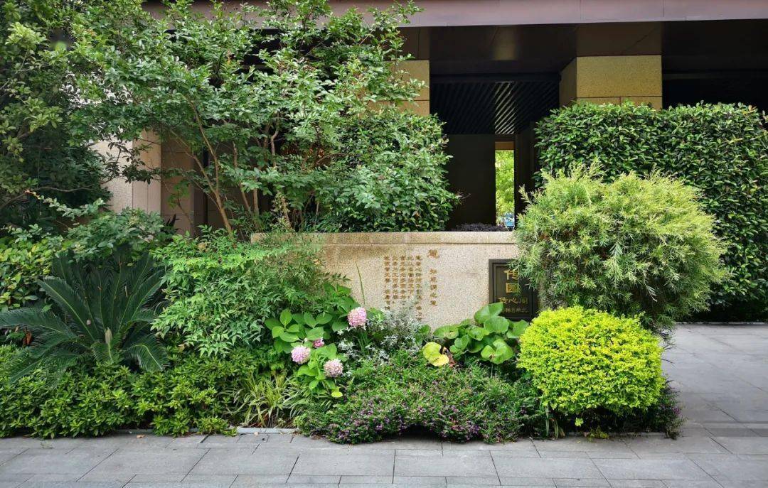 丛林之下,生境蝶变 | 江苏旭辉花境营造之路_苏州_示范区_铂悦