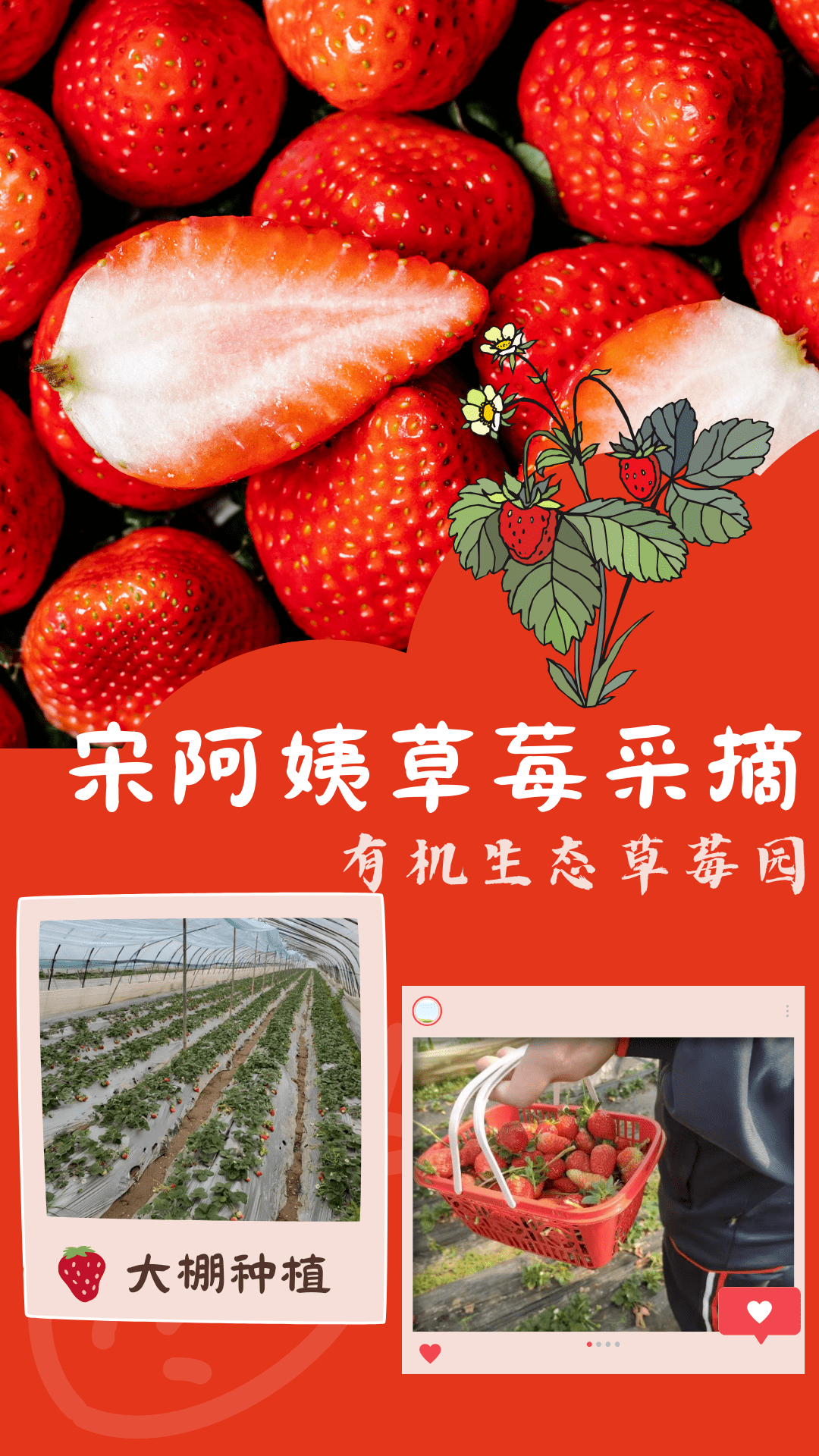 草莓采摘券AI广告设计素材海报模板免费下载-享设计