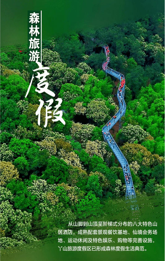 大余丫山风景区介绍图片