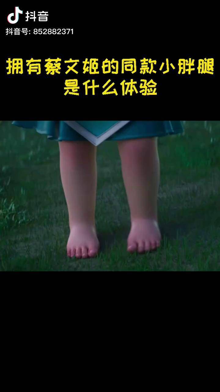 拥有蔡文姬同款小胖腿是什么体验 就是这双腿每天在我头上踩来踩去