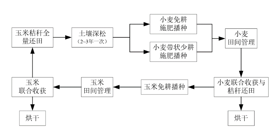 黄淮海麦玉两熟区秸秆全量还田保护性耕作全程机械化生产模式