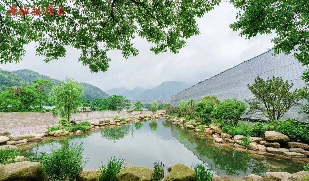 寿仙谷有机国药生态农场获评"国家级生态农场"_种植_农业_灵芝