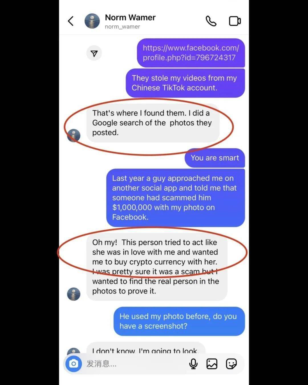 华人美女网红被杀猪盘盗图，福建男子被骗近百万美金找上门来_搜狐网