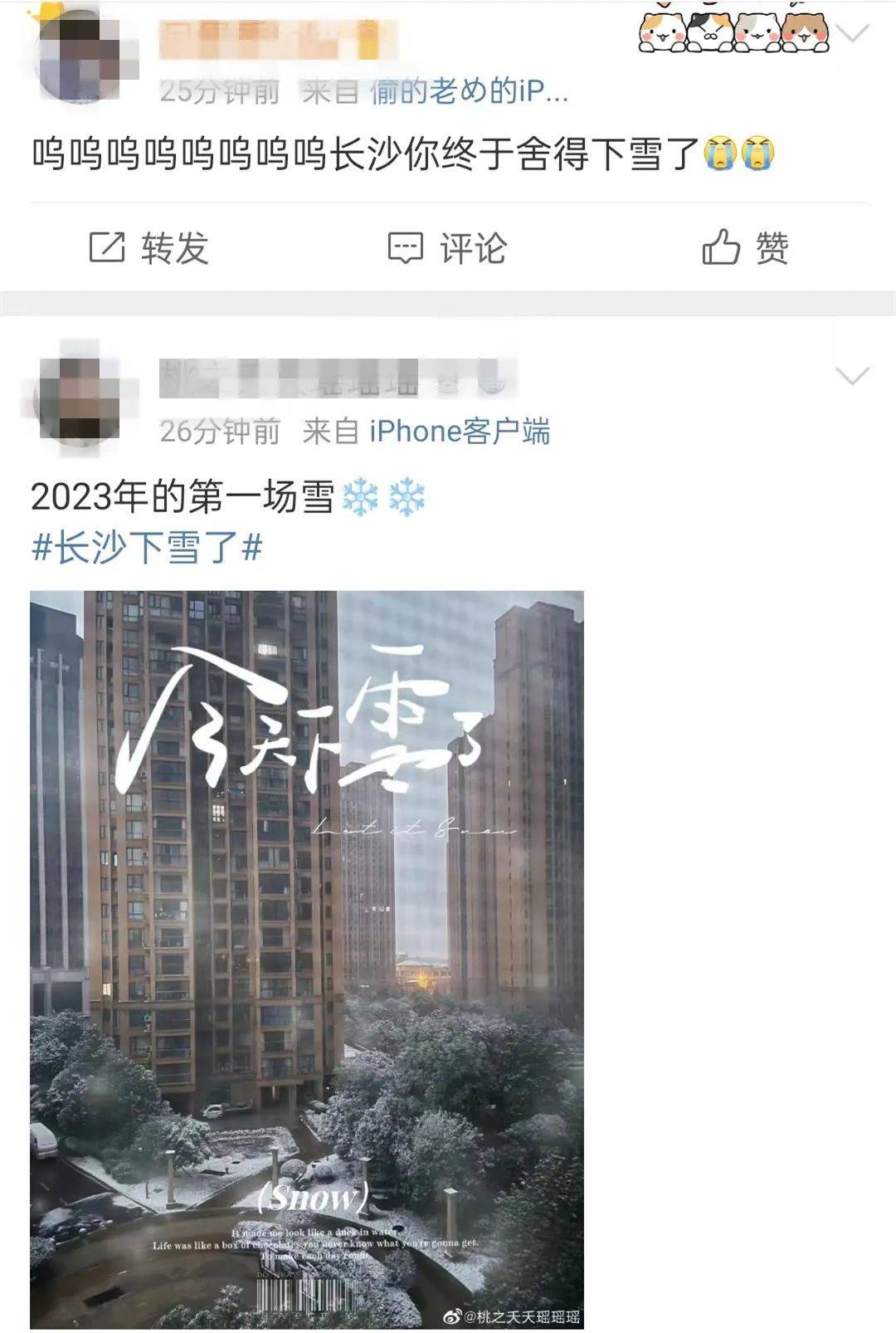 南方小年！2023年长沙的第一场雪来啦！网友在雪地里写下……