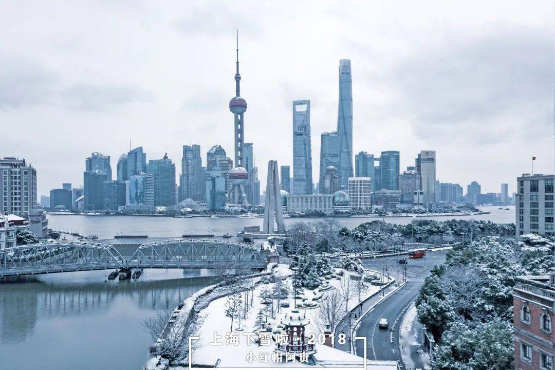 2018上海雪景百图集锦