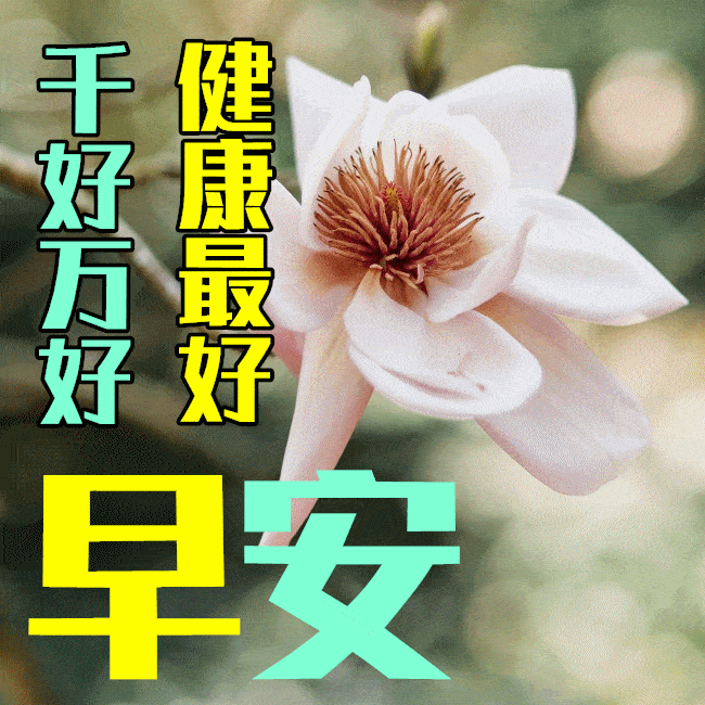 8,我送你一颗忘忧草,再为你逮只幸福鸟,当幸福鸟含着忘忧草像你飞来时