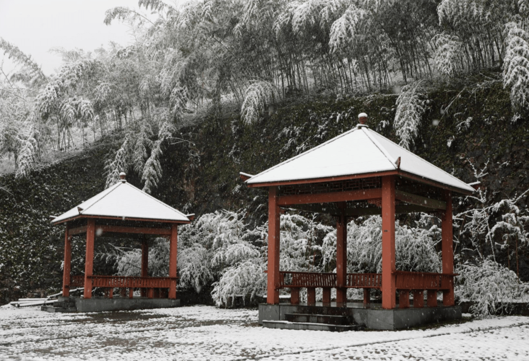 大竹景点图片