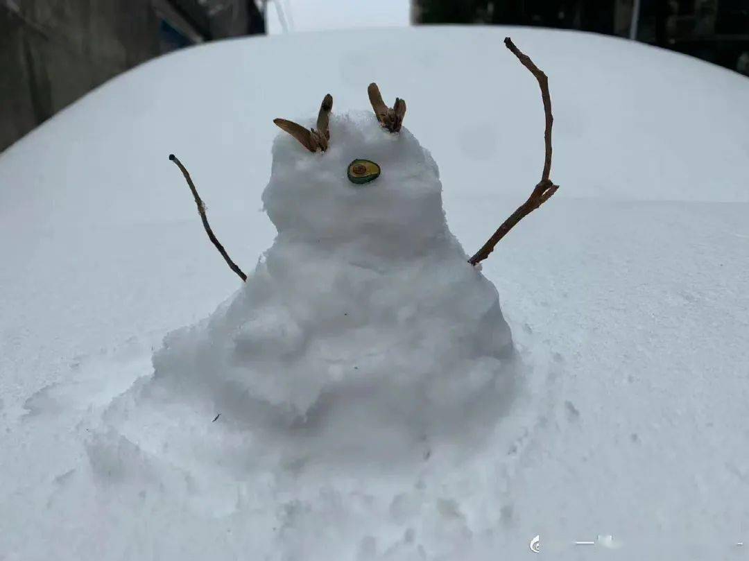 全国局部下雪刷屏了？这可把网友们馋坏了！