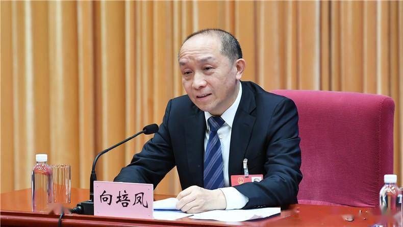 省委宣传部副部长向培凤主持发布会.