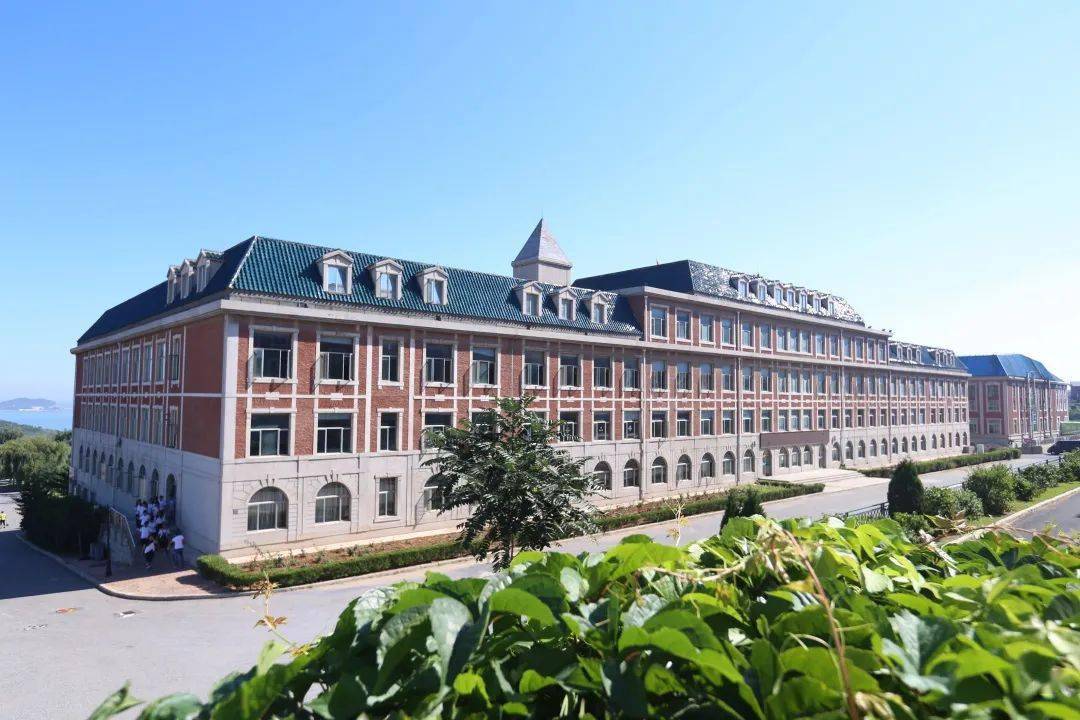大连枫叶职业技术学院行政岗位招聘启事_专业_相关_工作