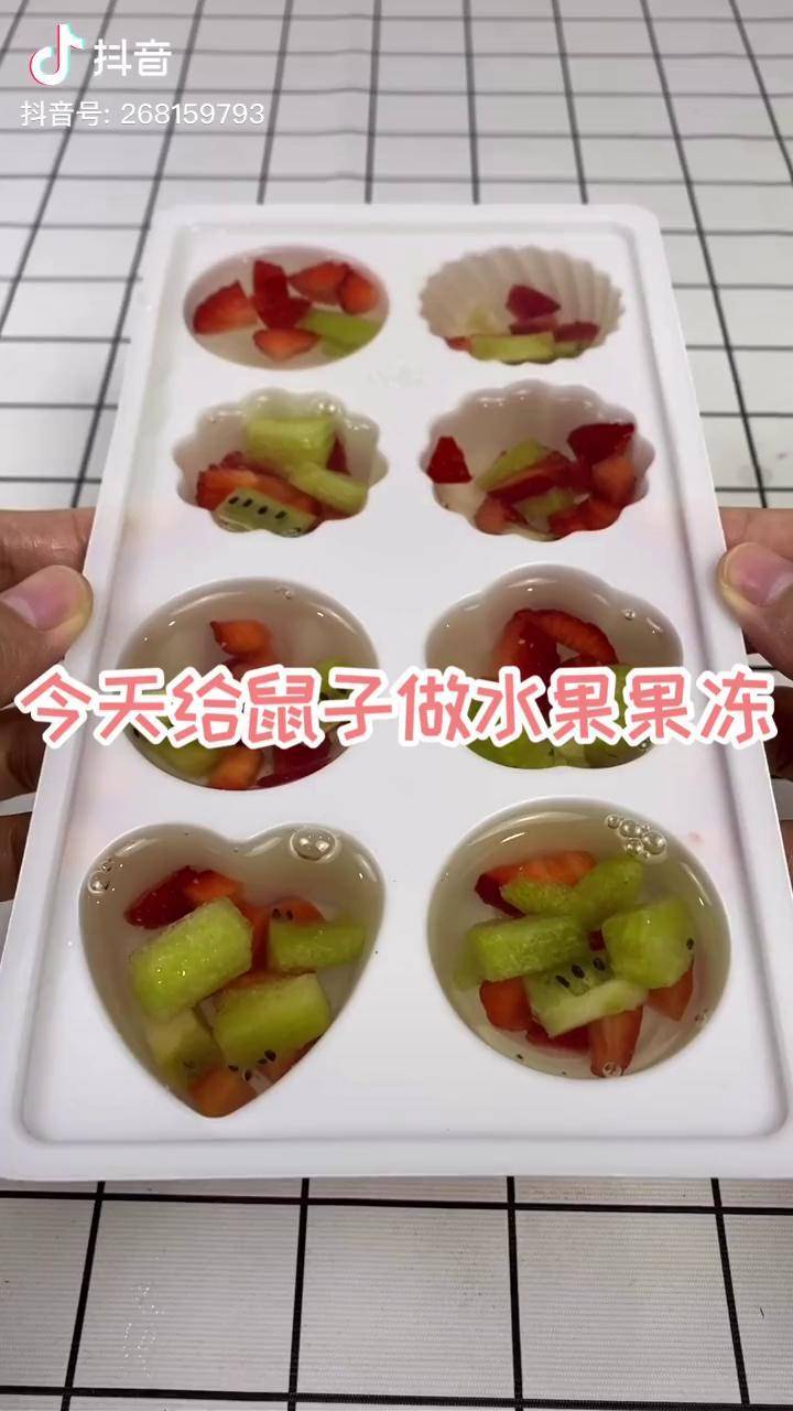 做完才发现这是一个没味道的果冻 仓鼠 金丝熊 萌宠 日常