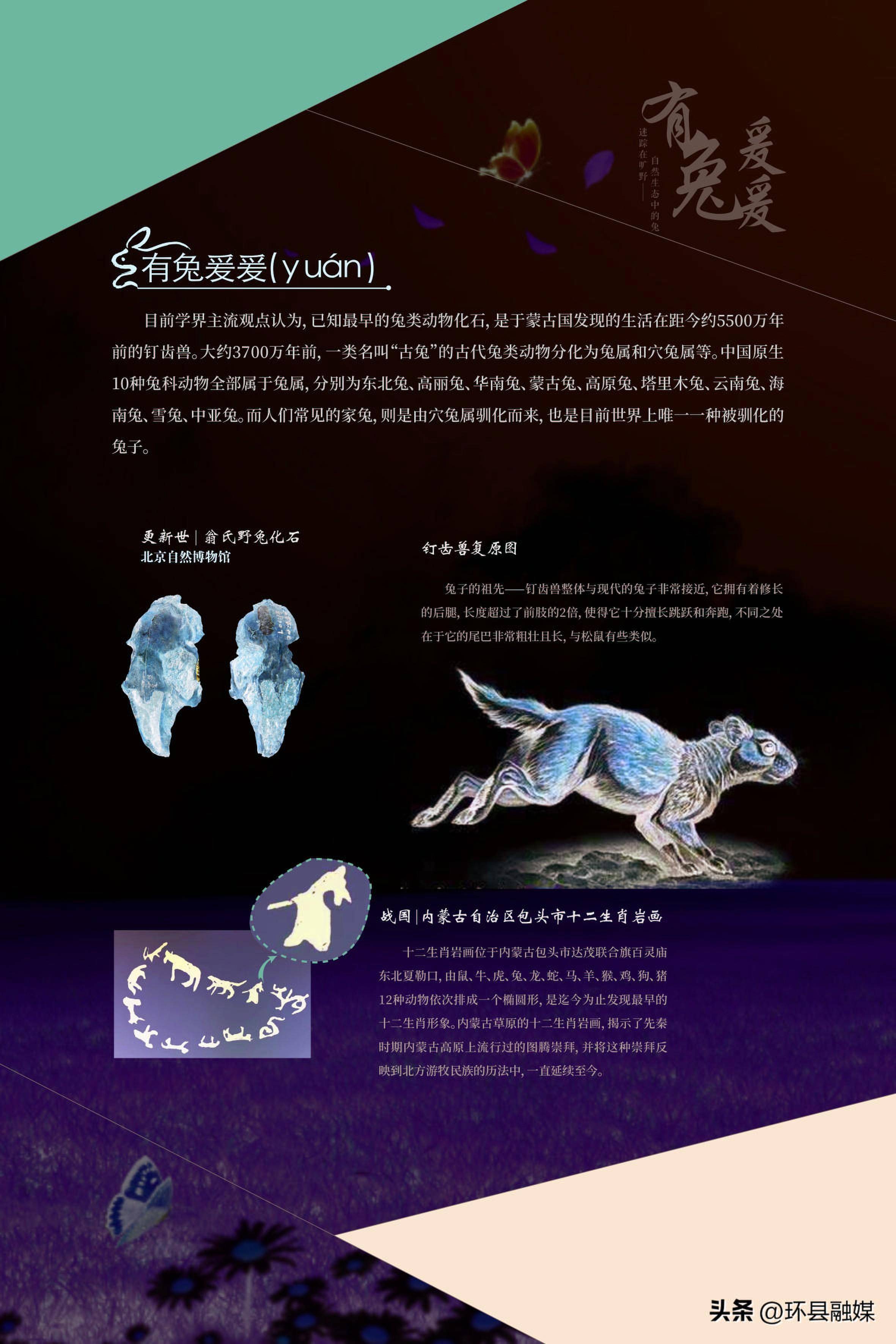 【环县春节文化活动】大展宏兔·新春生肖文联图片联展