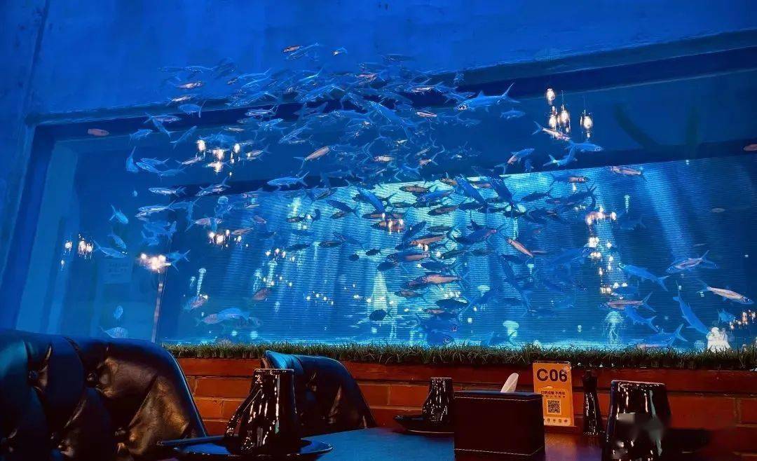 omg海洋部落,亚奥家门口的超大水族馆,快来玩!_活动_区域_带回家