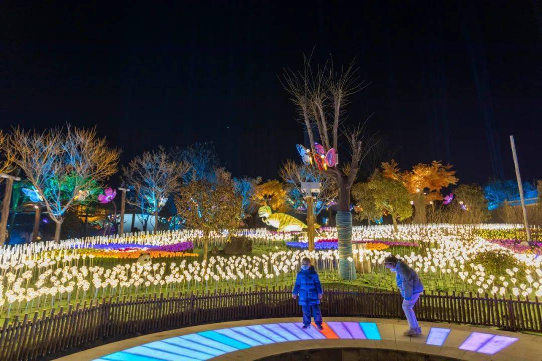 第一次去东平湖,大宋不夜城.看完这篇攻略就够了!