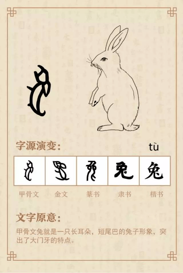 兔的象形文字图片图片