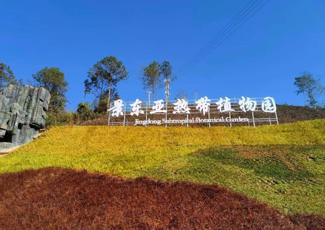 【关注】景东亚热带植物园迎来春节首批客流高峰_游客_旅游_长龙