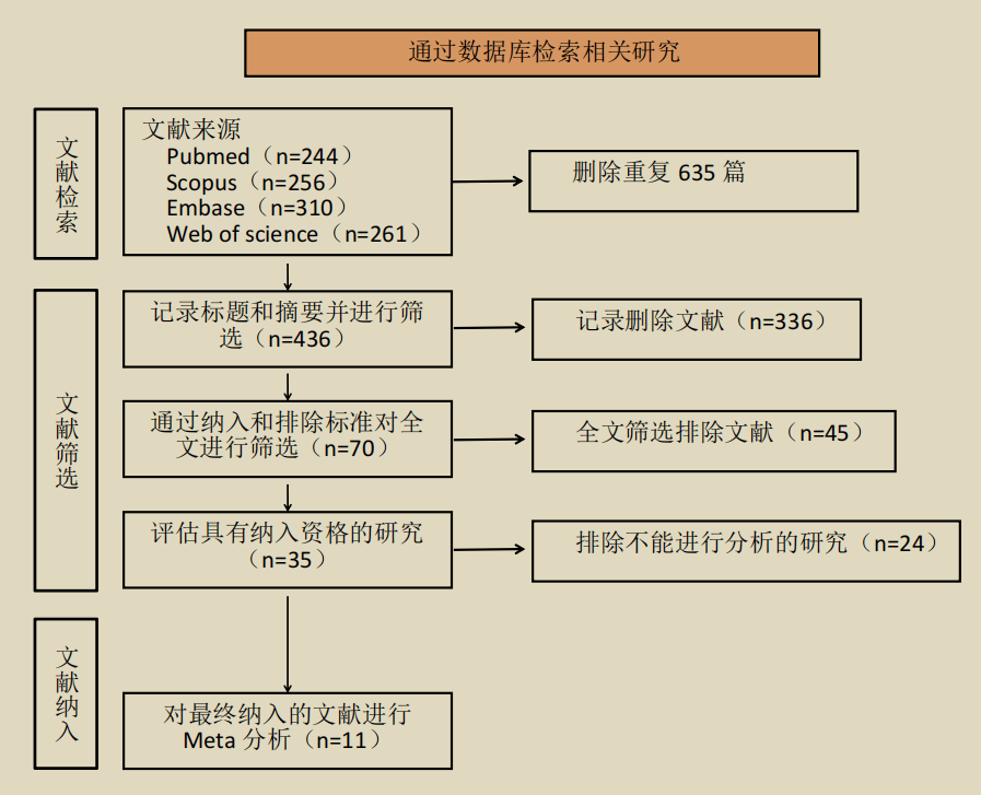jnis中文版|段传志教授导读:血流导向装置治疗未破裂