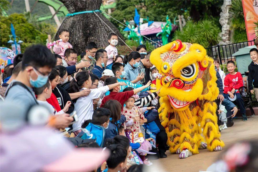 每场表演基本都座无虚席,龙虎舞狮团现身海洋大巡游,金龙盘旋,醒狮