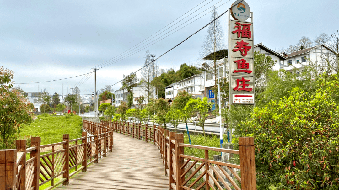 01漁人部落圖:王巍 攝沒有春日的繁花爛漫