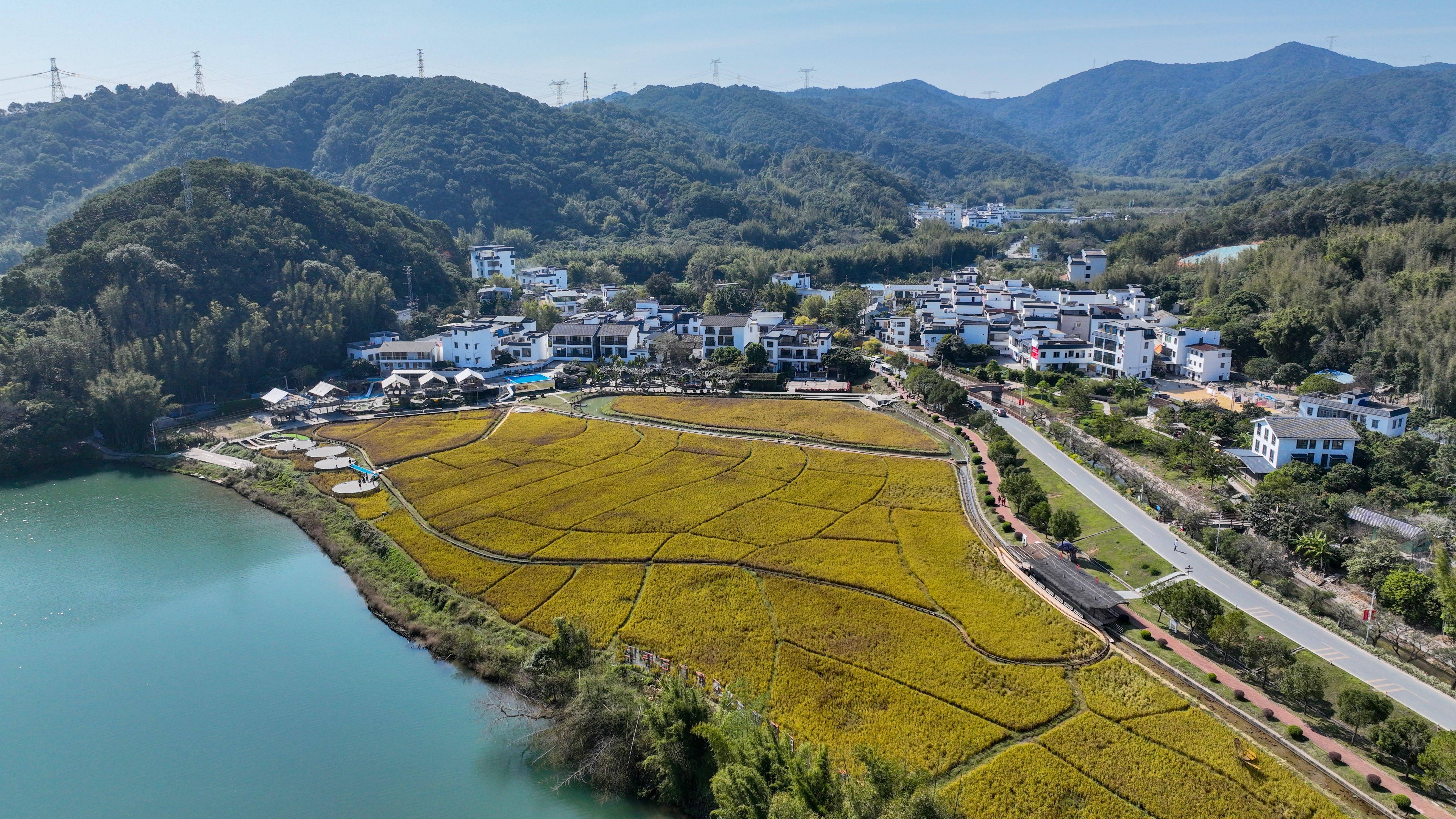 新春走基层