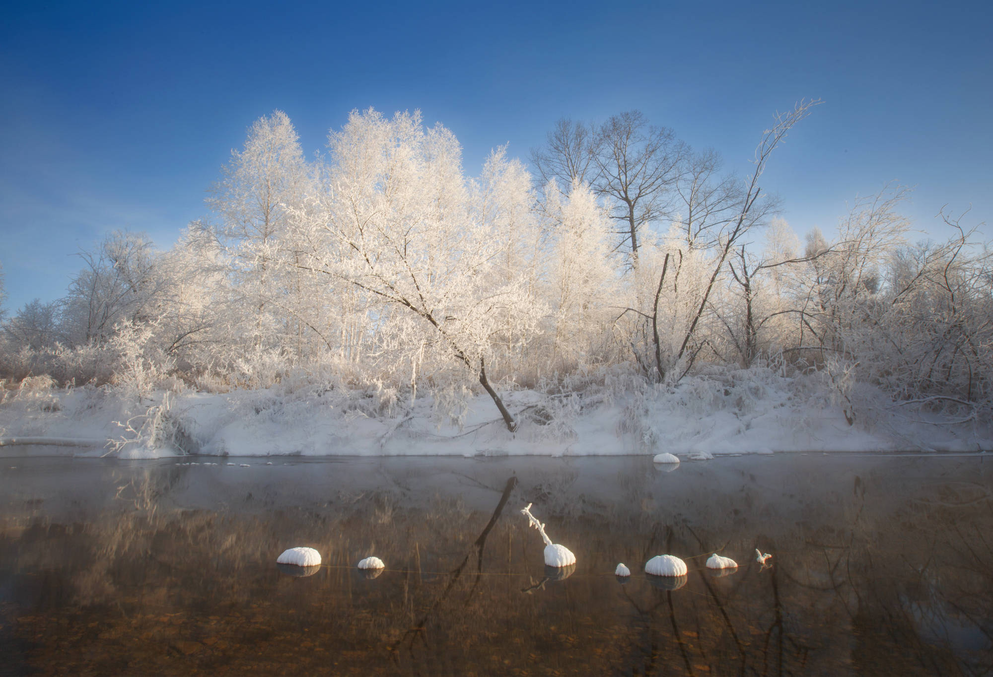 张张皆壁纸,共赏中国最冷小镇雾凇美景_大兴安岭_田云_天气