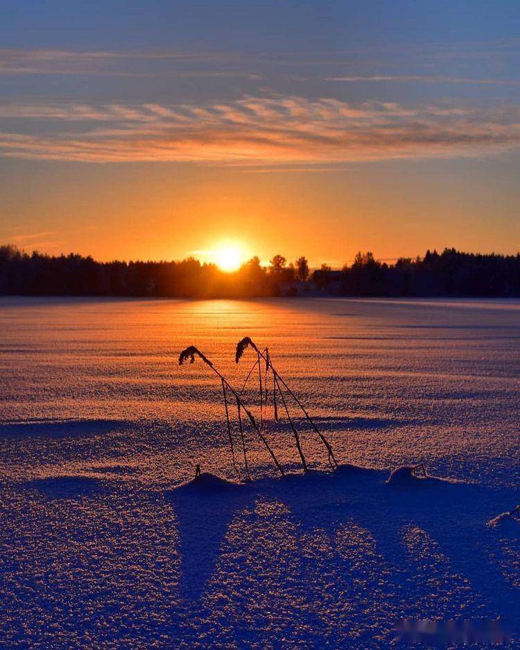 把冬天拍摄美吧,这6个摄影技巧效果非常棒_照片_画面_景物